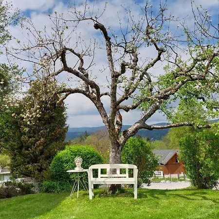 Lejlighed Tulpe By Interhome *