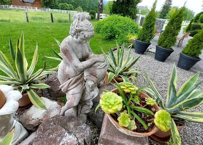 Tulpe By Interhome *